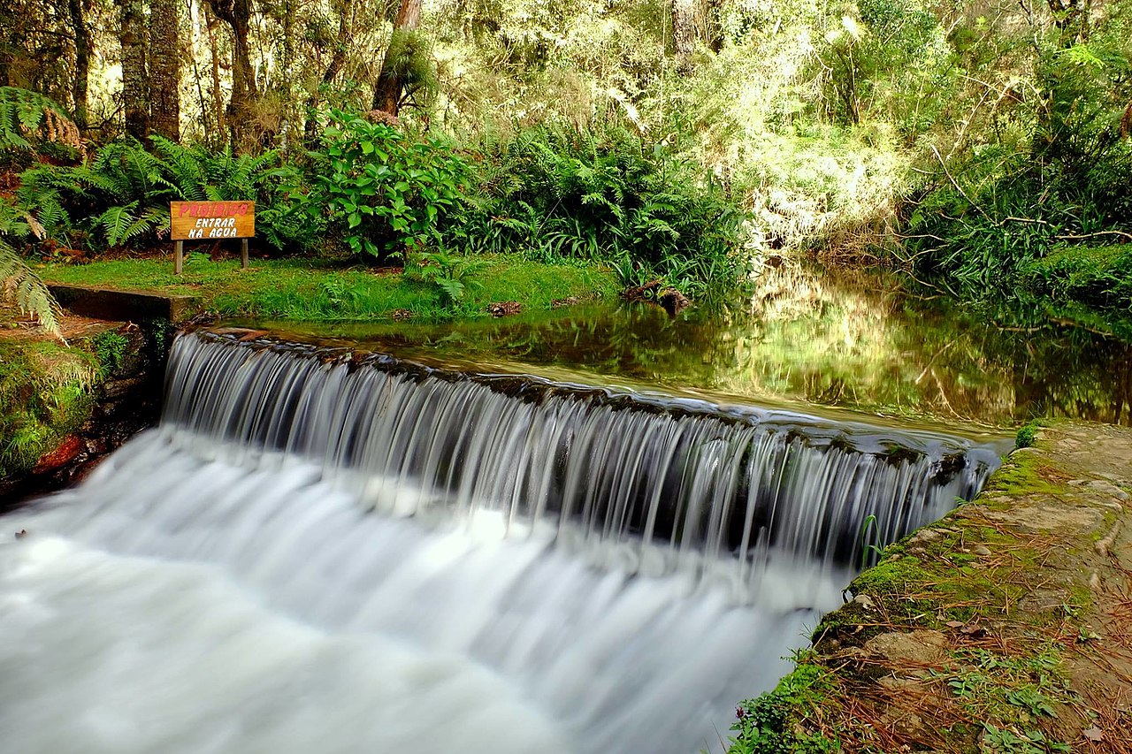 Parque Estadual do Horto Florestal - Guia Turístico em Campos do Jordão ...